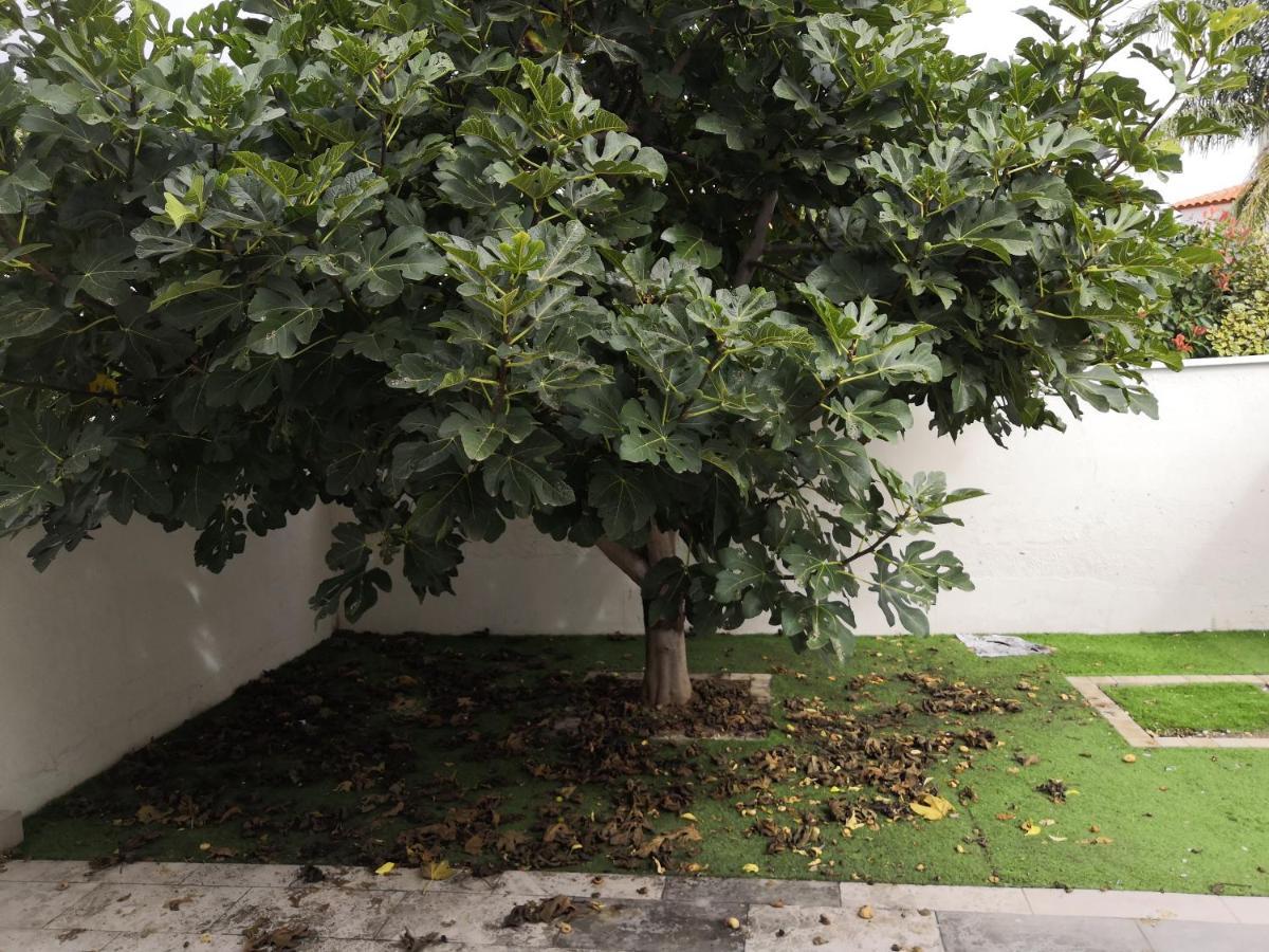 Spacieux, Top Lit, Hote Reactif, Proche Montagne Mer, Lumineux, Bien Equipe, Agreable, Chambre, Micro Maison Et Maison, Bien Regarder Perpignan Exterior photo